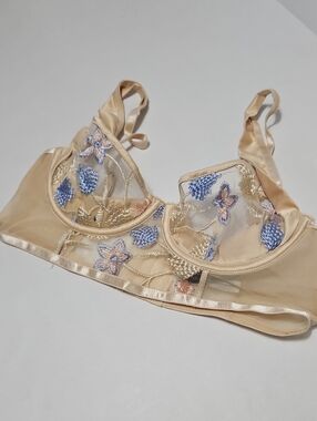 Sheer Embroidered Floral Underwire Push Up Bra  Beige, Blue & Pink Accents Sz M